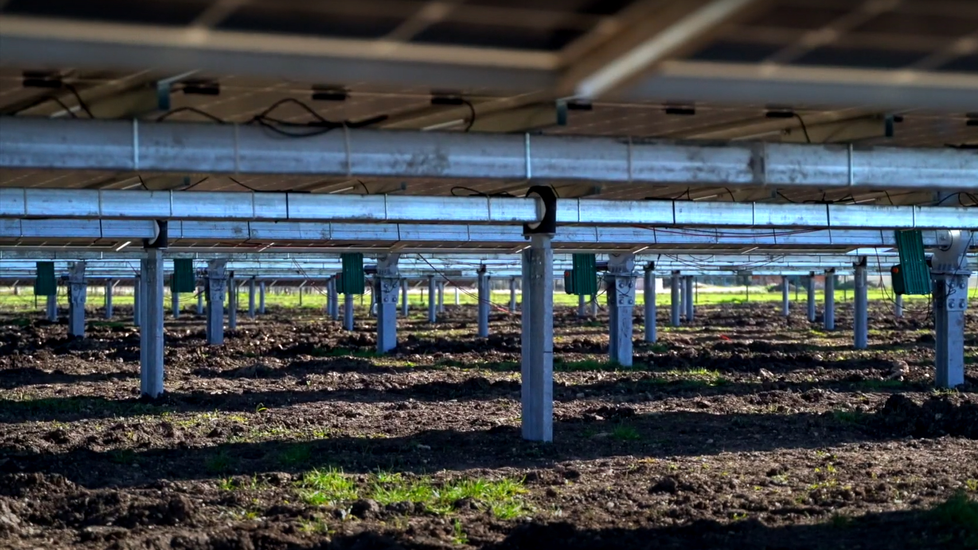 Impianto fotovoltaico con sistema agrivoltaico integrato